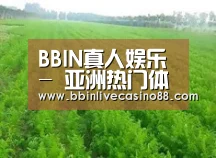 种植基地四