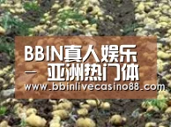 种植基地七