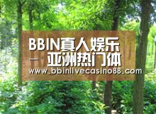 种植基地九