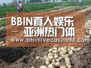 种植基地八