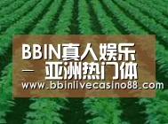 种植基地六(图1)