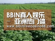 种植基地五(图1)