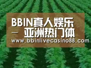 种植基地六