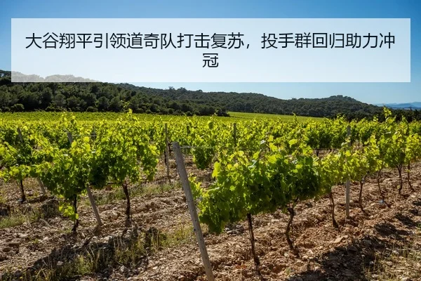 大谷翔平引领道奇队打击复苏，投手群回归助力冲冠