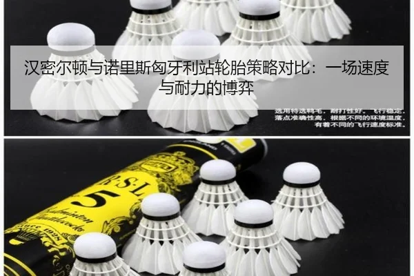 汉密尔顿与诺里斯匈牙利站轮胎策略对比：一场速度与耐力的博弈