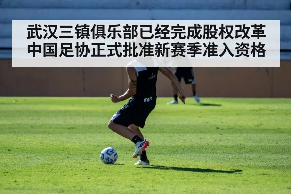 武汉三镇俱乐部已经完成股权改革 中国足协正式批准新赛季准入资格